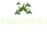 About Tabo