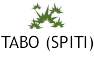 About Tabo